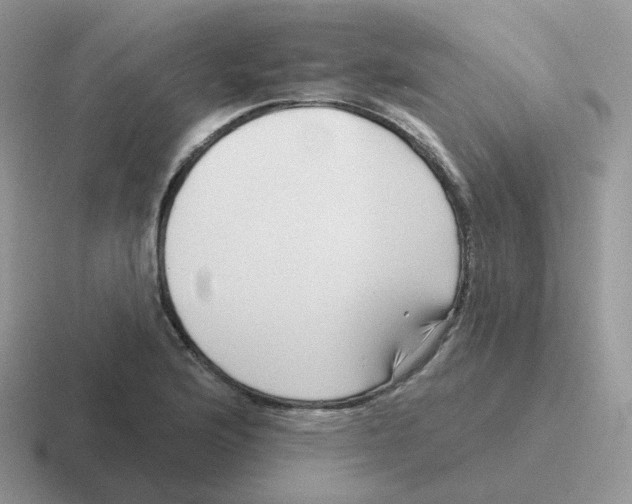 X0000116551176201001071110