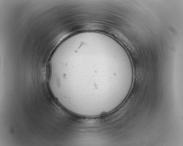 X0000116551177201001071110