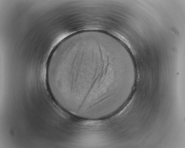 X0000116551179201001071110