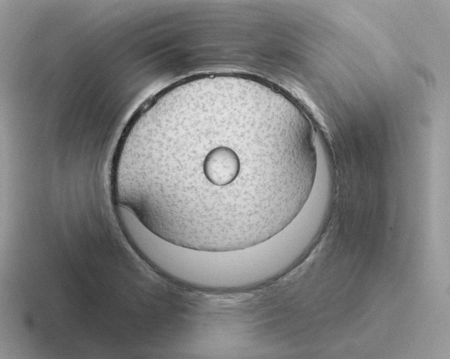 X0000116551181201001071110