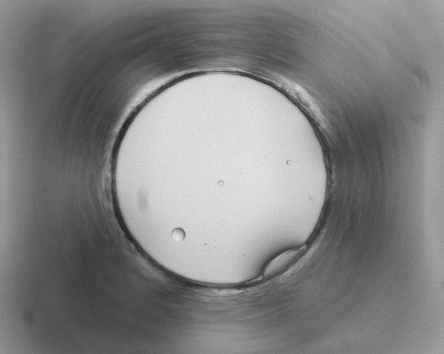 X0000116551184201001071110