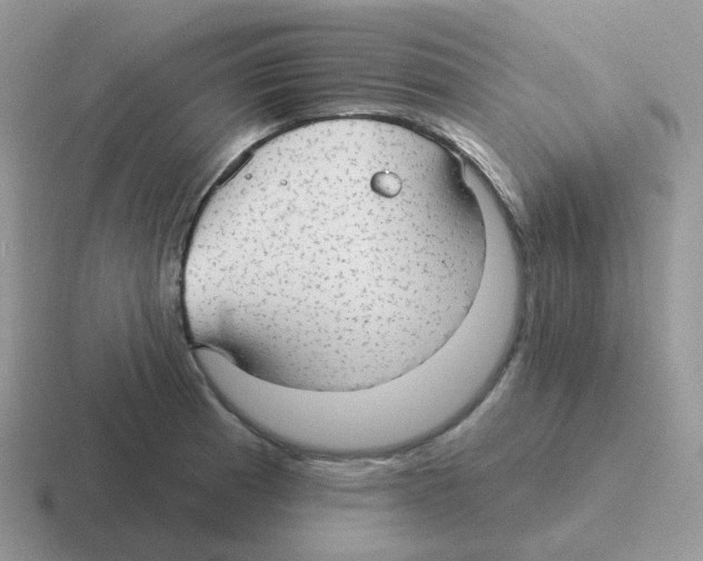 X0000116551185201001071110