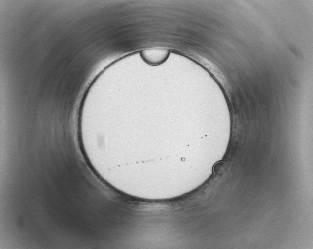 X0000116551187201001071110