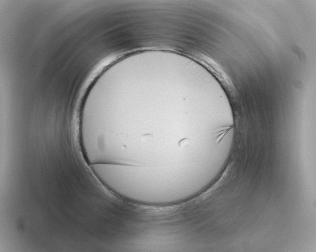 X0000116551188201001071110