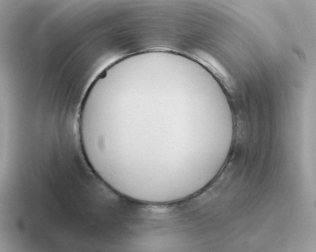 X0000116551190201001071110