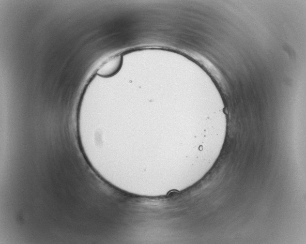 X0000116551191201001071110