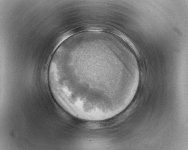 X0000116551194201001071110