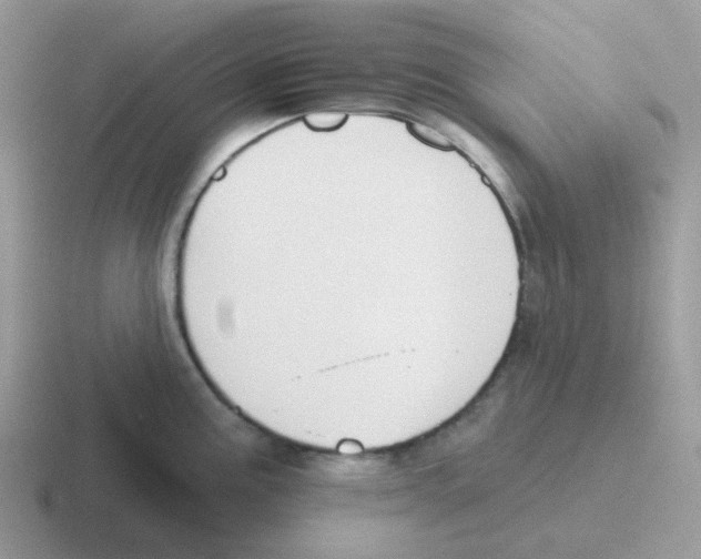 X0000116551195201001071110