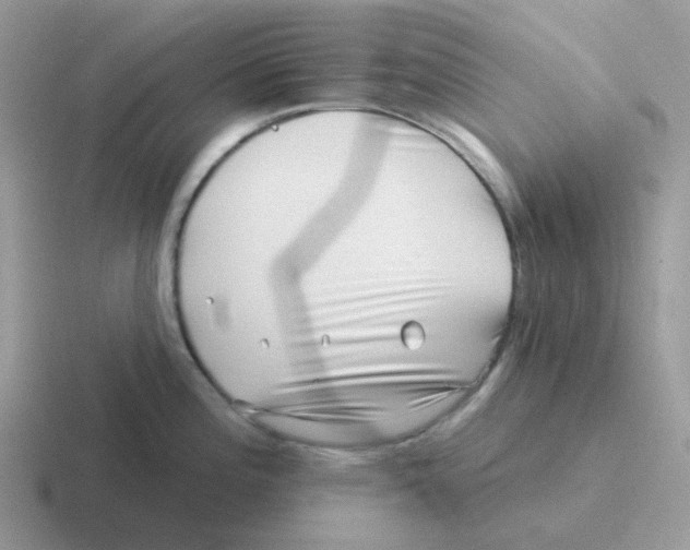 X0000116551196201001071110