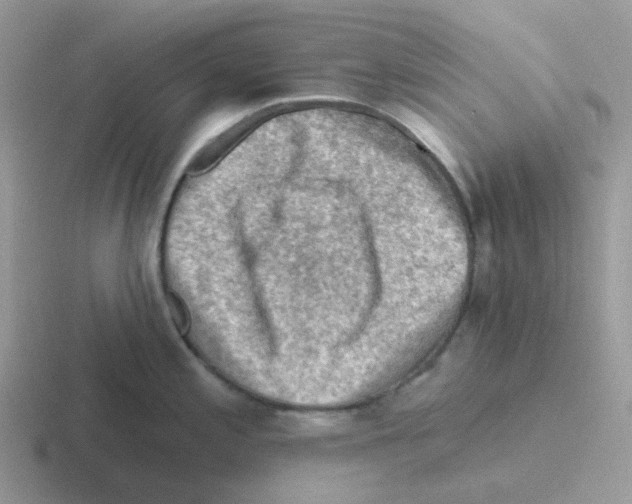 X0000116551197201001071110