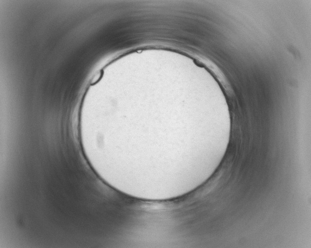 X0000116551199201001071110