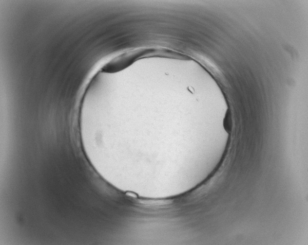 X0000116551200201001071110