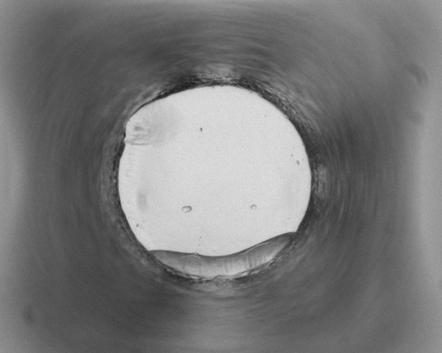 X0000116551201201001071109