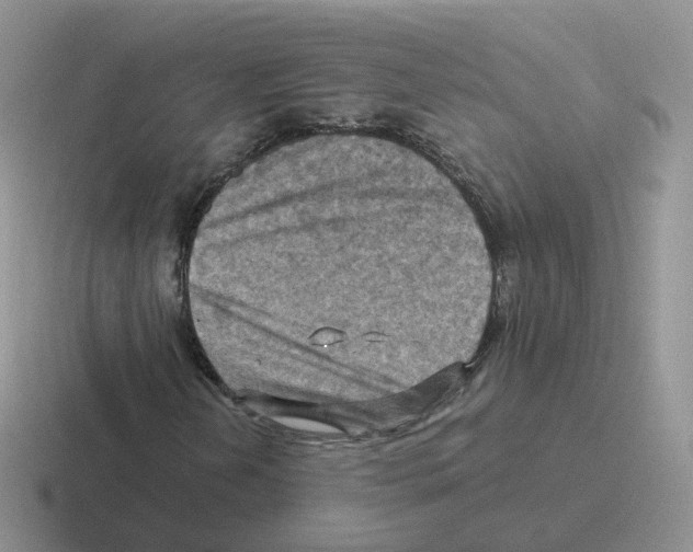 X0000116551202201001071109