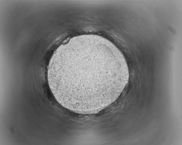 X0000116551205201001071109