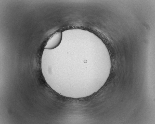 X0000116551207201001071109