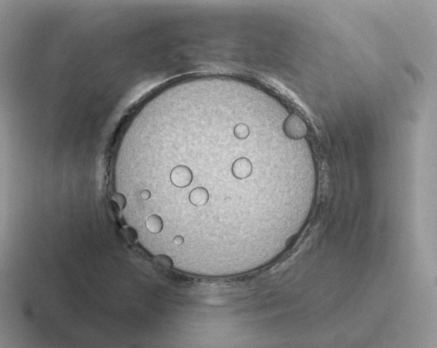 X0000116551215201001071109