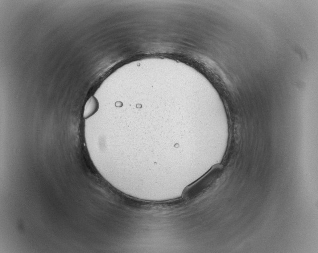 X0000116551217201001071109