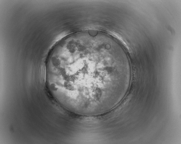 X0000116551219201001071109