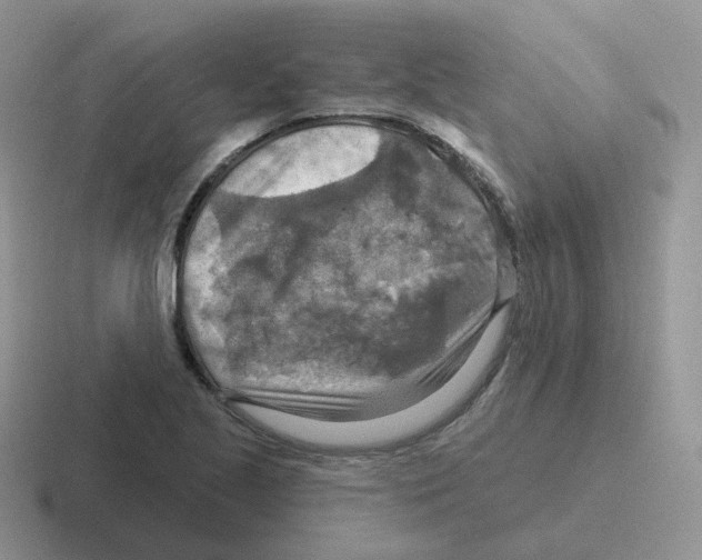 X0000116551221201001071109