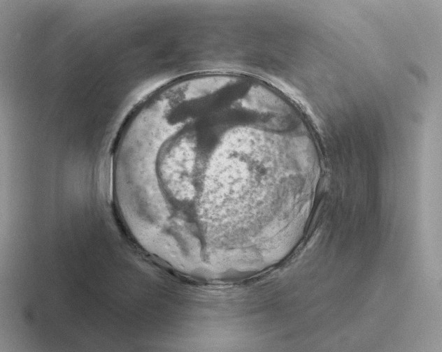 X0000116551223201001071109