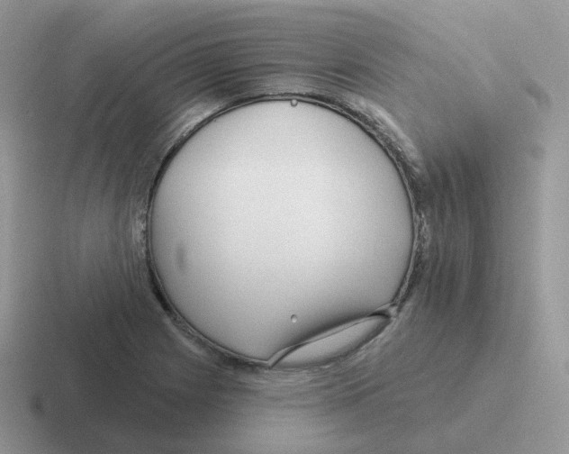 X0000116551225201001071109