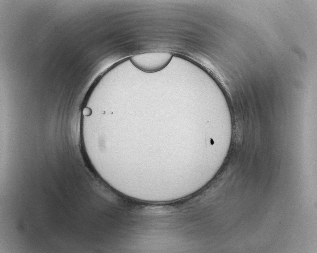 X0000116551227201001071109