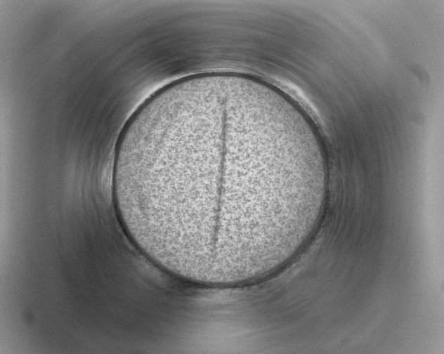 X0000116551228201001071109