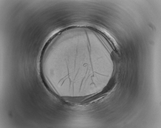 X0000116551229201001071109