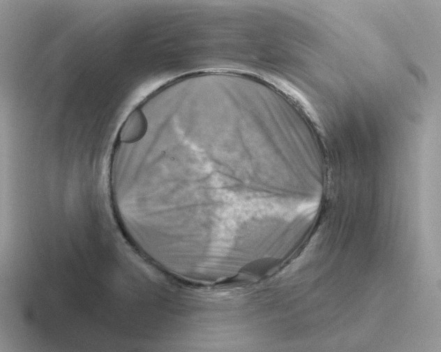 X0000116551231201001071109