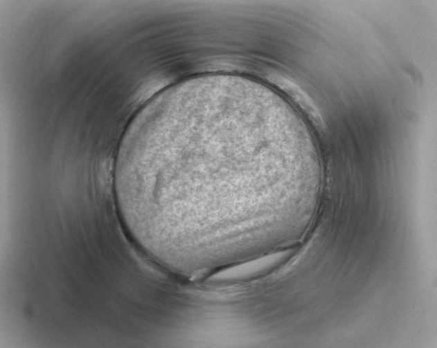 X0000116551233201001071109