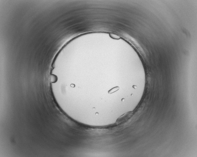 X0000116551236201001071109