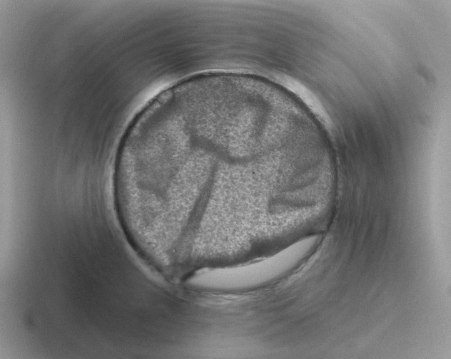 X0000116551237201001071109