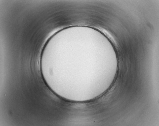 X0000116551238201001071109