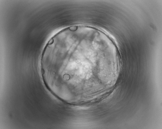 X0000116551239201001071109