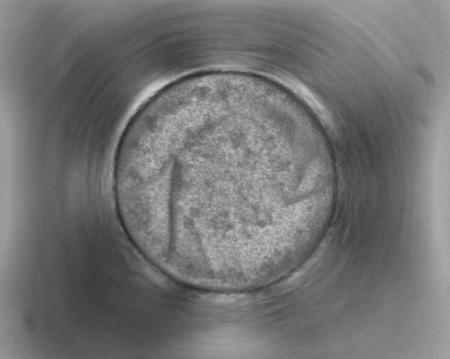 X0000116551240201001071109