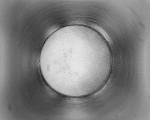 X0000116551241201001071109