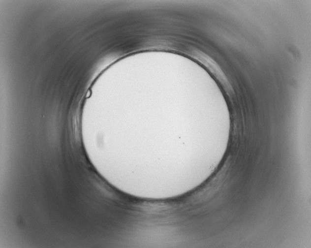 X0000116551242201001071109