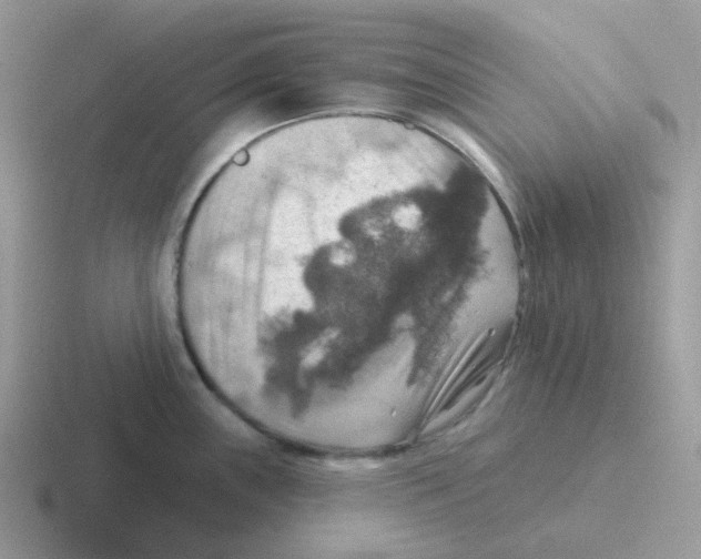 X0000116551243201001071110