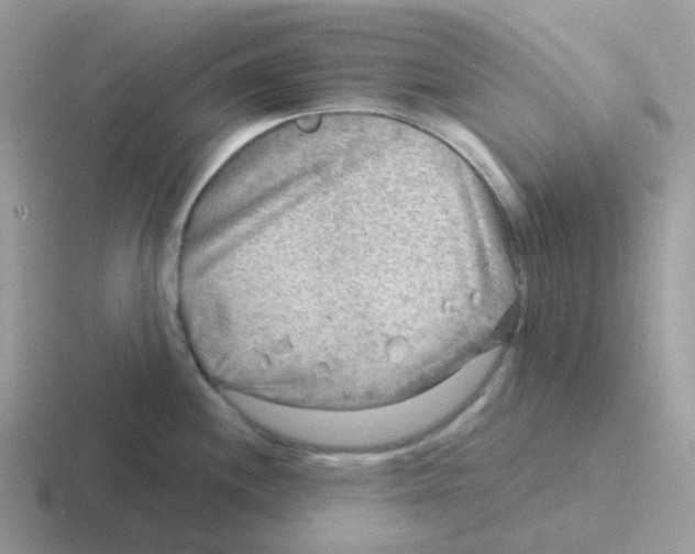 X0000116551244201001071110