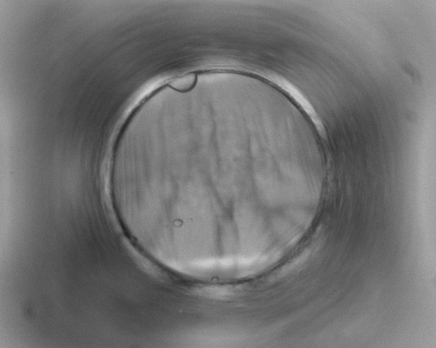 X0000116551245201001071110