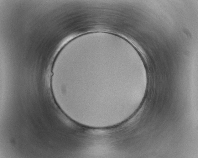 X0000116551246201001071110