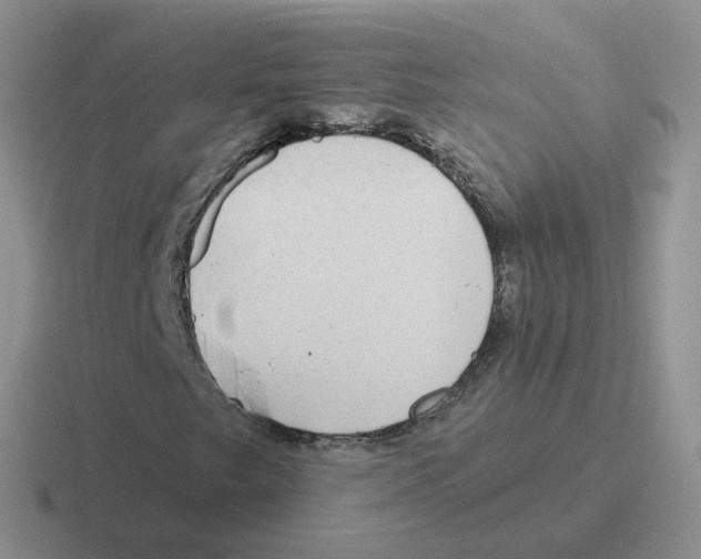 X0000116551249201001071109