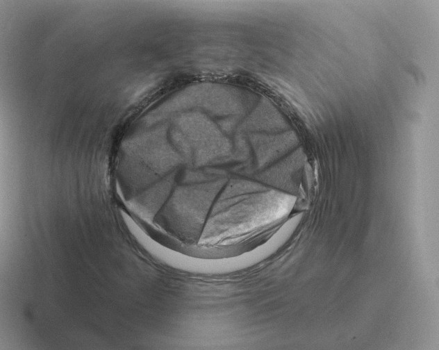 X0000116551252201001071109