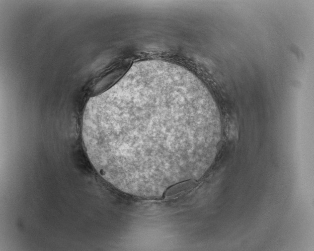 X0000116551253201001071109