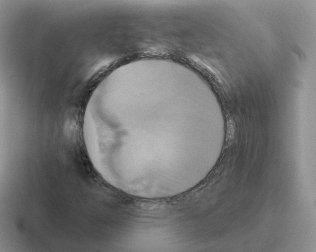 X0000116551254201001071109