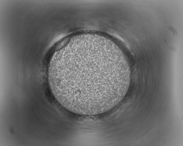 X0000116551255201001071109