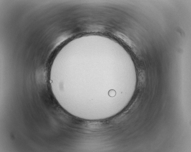 X0000116551258201001071109