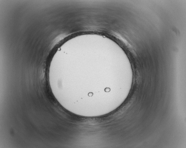 X0000116551259201001071109