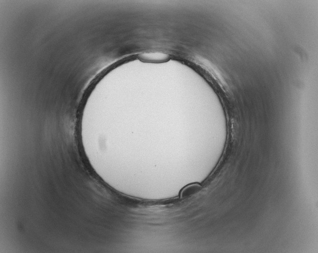 X0000116551260201001071109